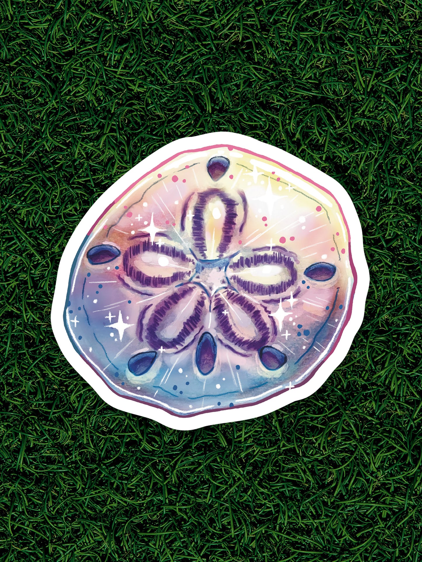 Colorful Sand Dollar Sticker