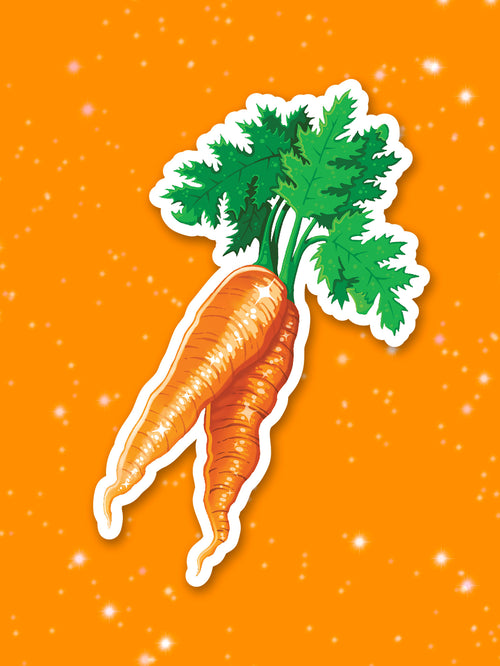 Illustration of two orange carrots on an orange background
