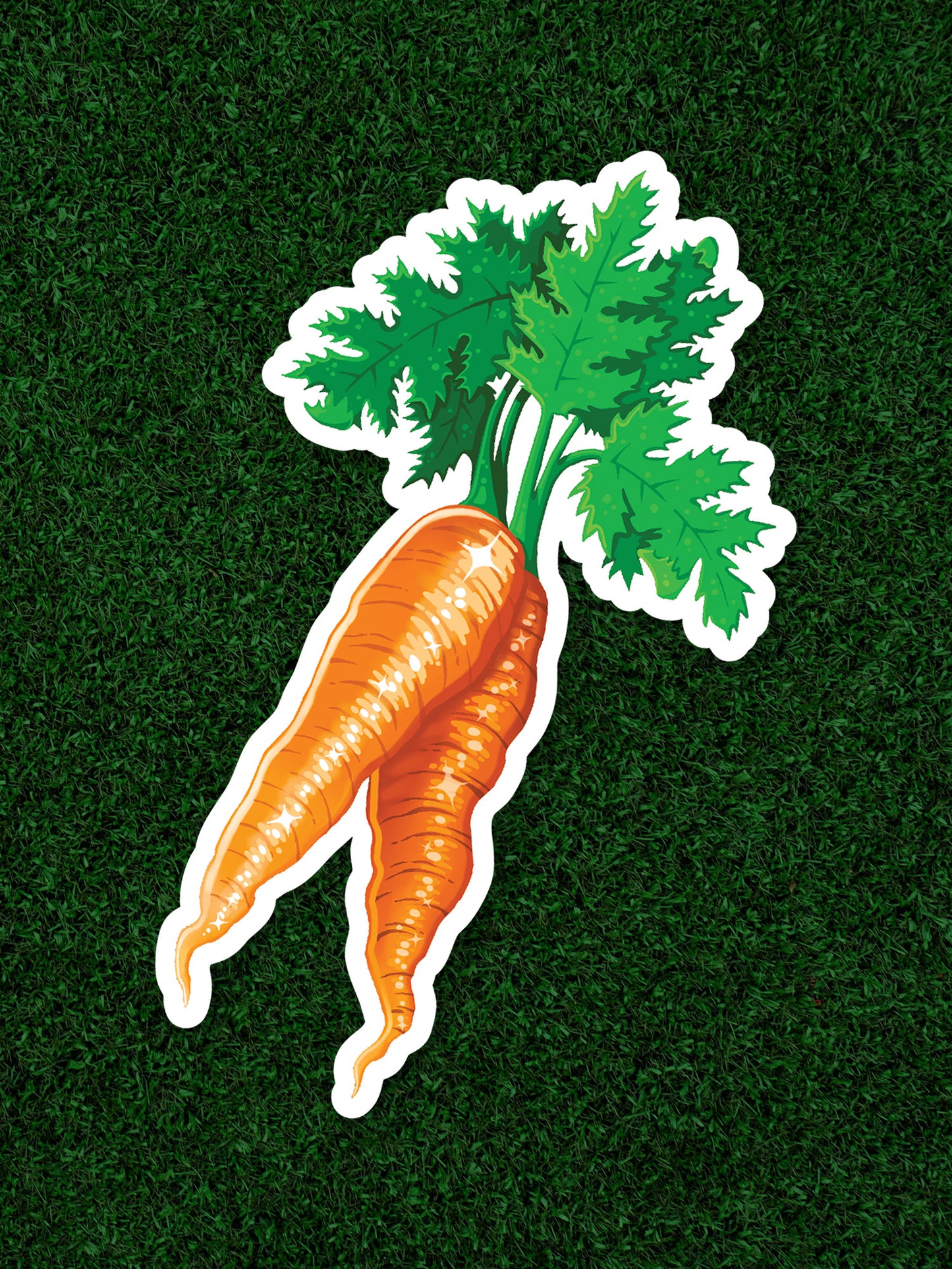 Carrot Sticker