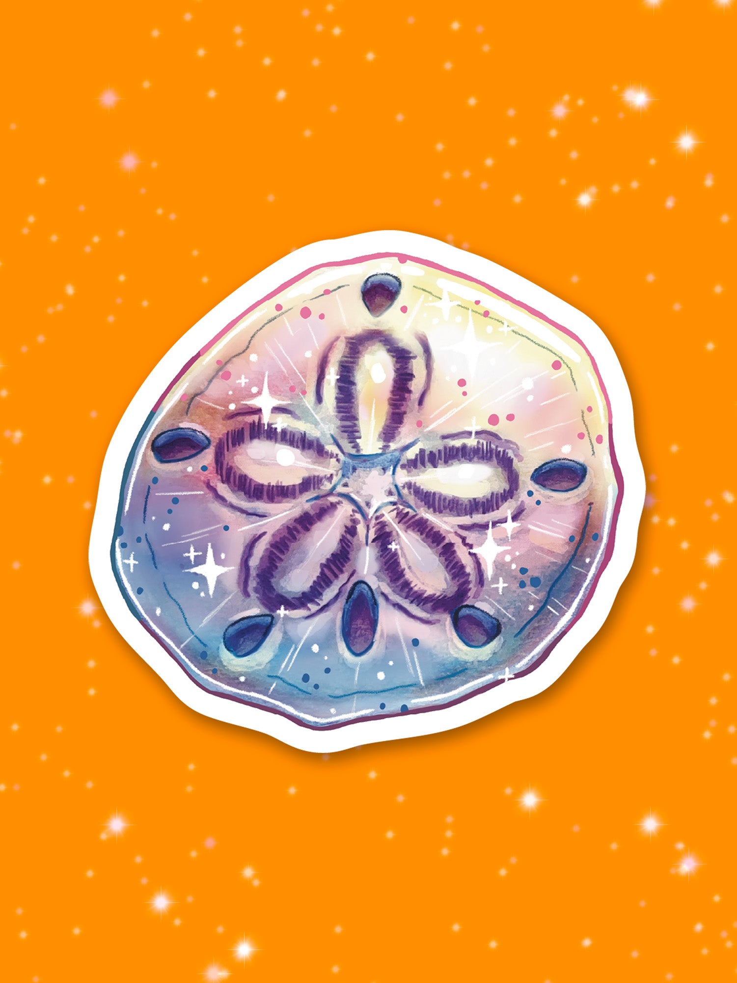 Illustration of a multicolor sand dollar on an orange background